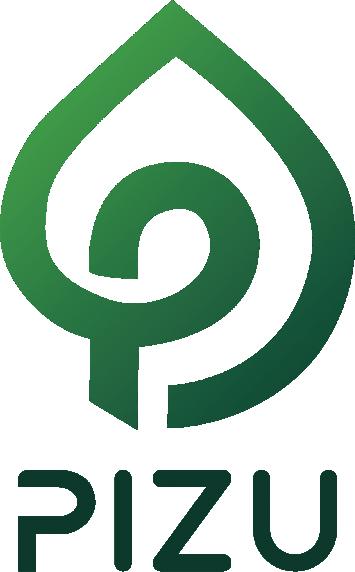 Logo Pizu